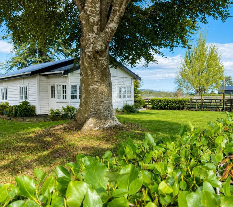 Tamahere House | Farm Stay | Near Airport & Mystery Creek
