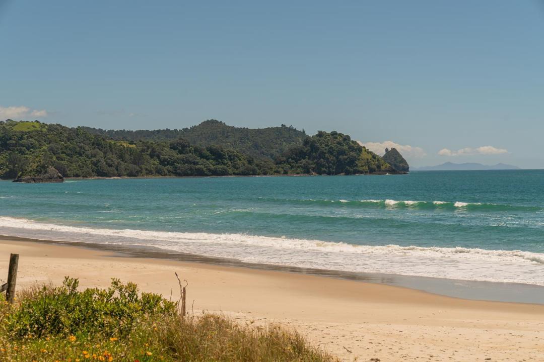Whangapoua House | Poppy's Beach House - Beachfront Whangapoua Home