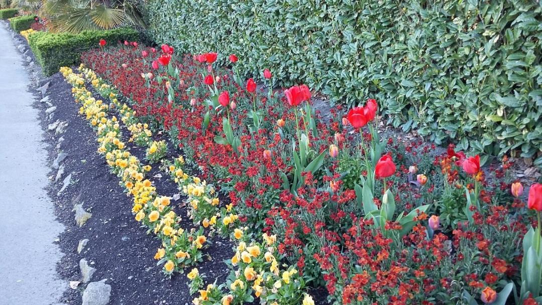 Riccarton Bed & Breakfast | Jan's Boutique B & B Suite