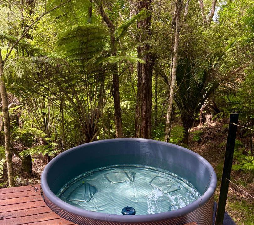 Wainui Ski Chalet | Tui Bush Chalet and Hot tub