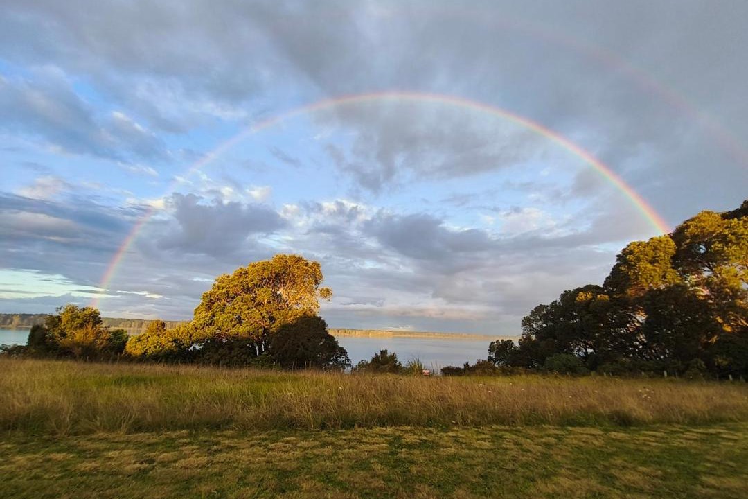 Katikati House | Kauri Point Self Contained Unit