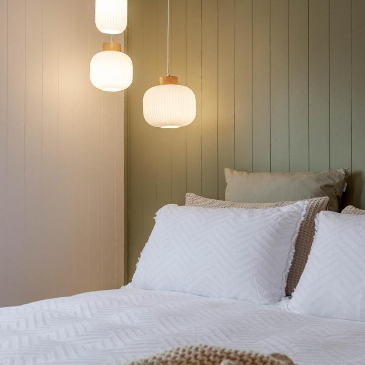 Cambridge House | The Shed