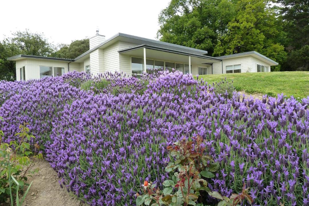 Akaroa Bed & Breakfast | L'abri Bed and Breakfast