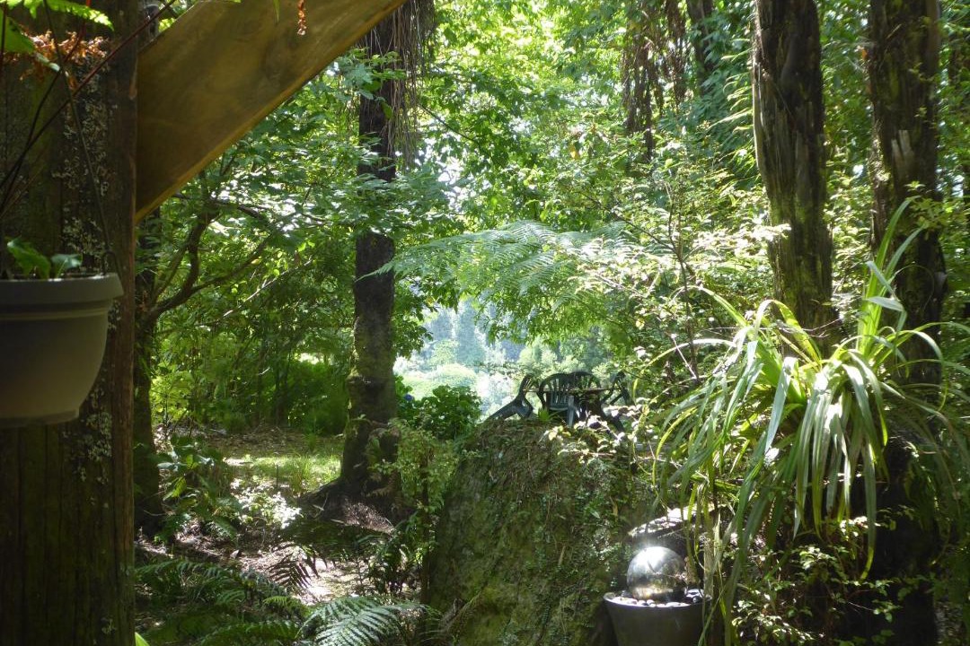 Ohauiti Bed & Breakfast | Mount Tutu Eco-Sanctuary