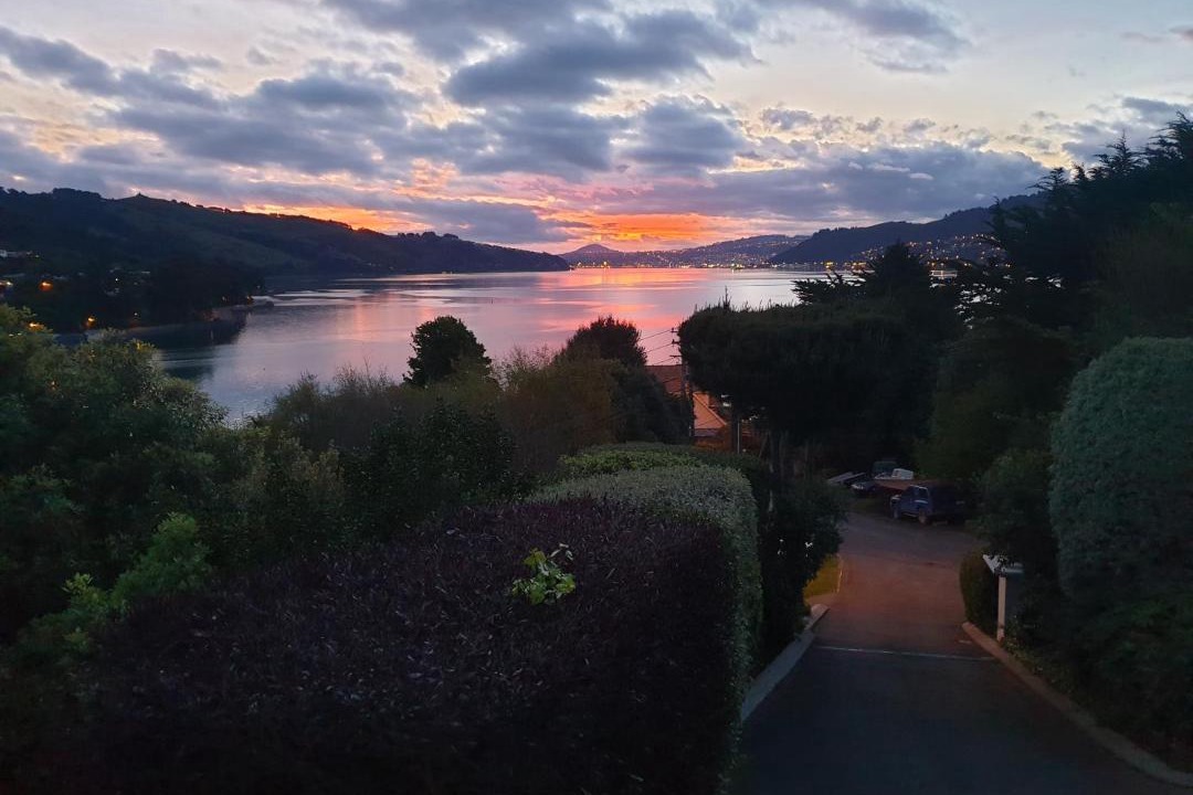 Dunedin House | Tui2 Macandrew Bay