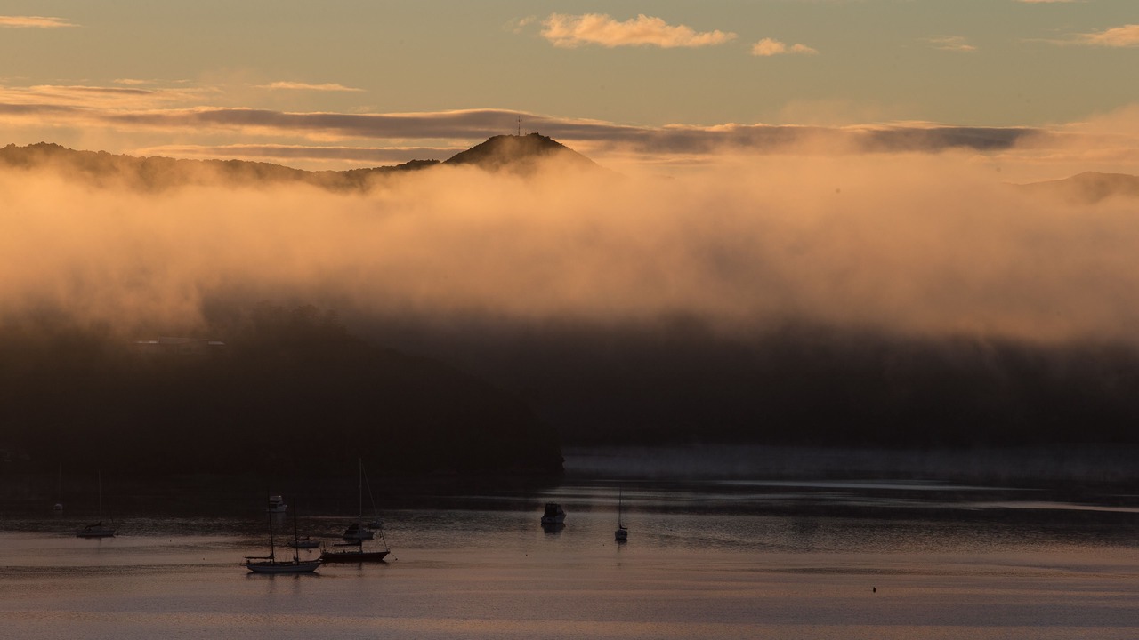 Photo of Others in Paihia