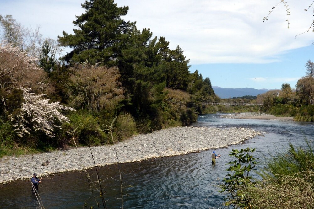 Photo of Others in Turangi