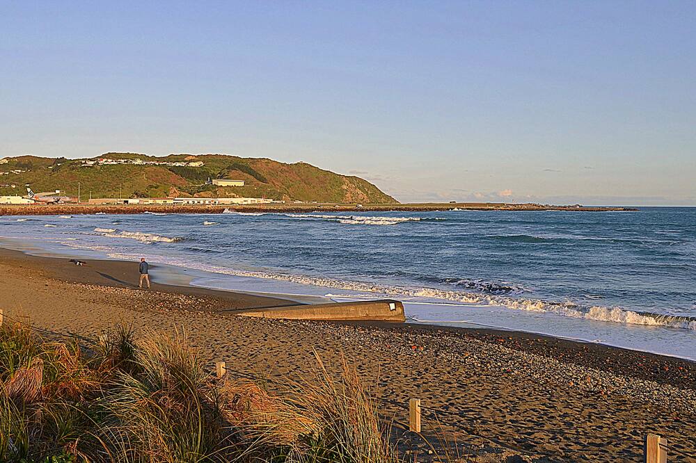 Photo of Others in Wellington
