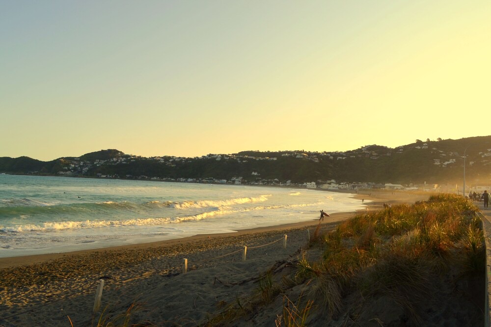 Photo of Others in Wellington