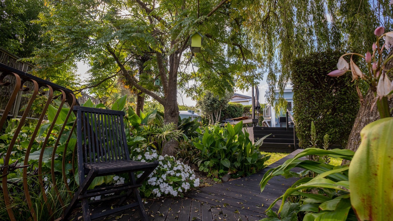 Photo of Outdoor in Oneroa