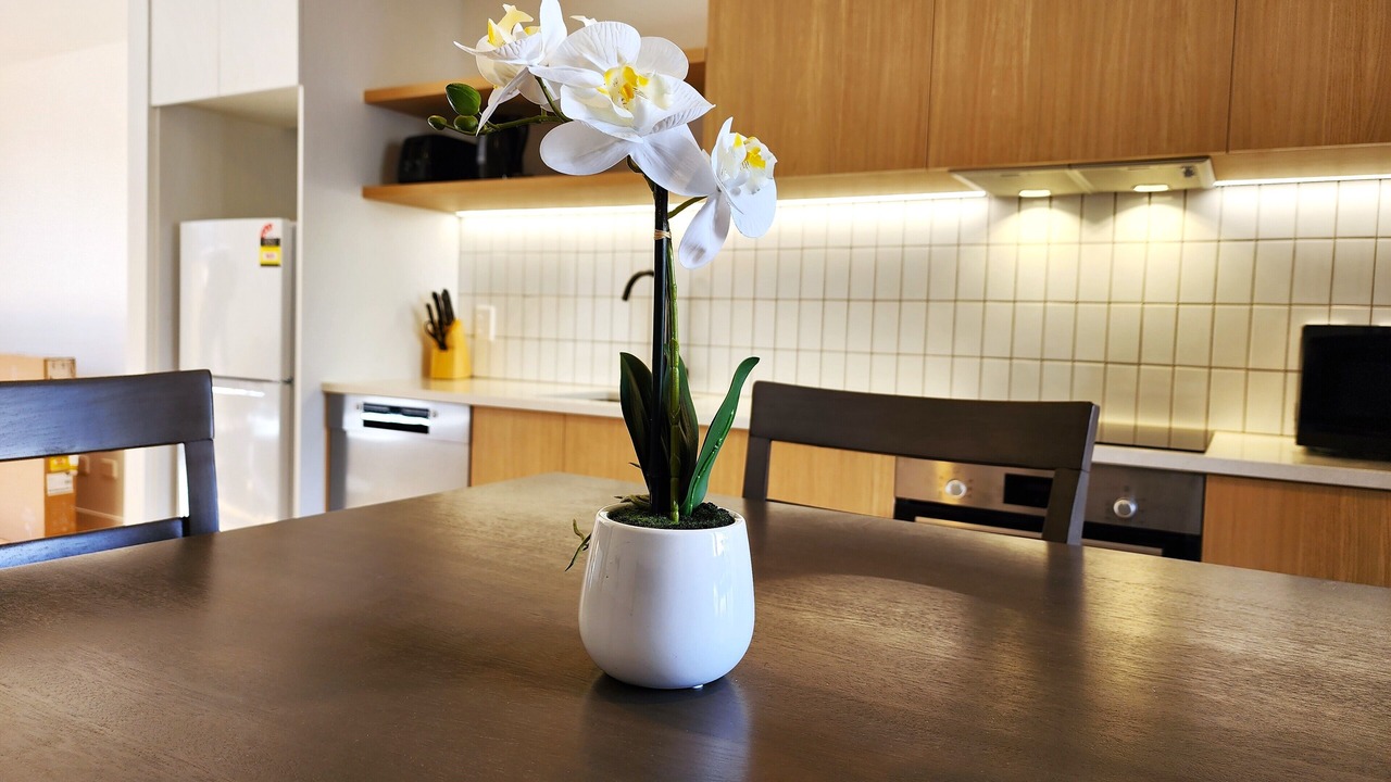 Photo of Kitchen in Raumati Beach