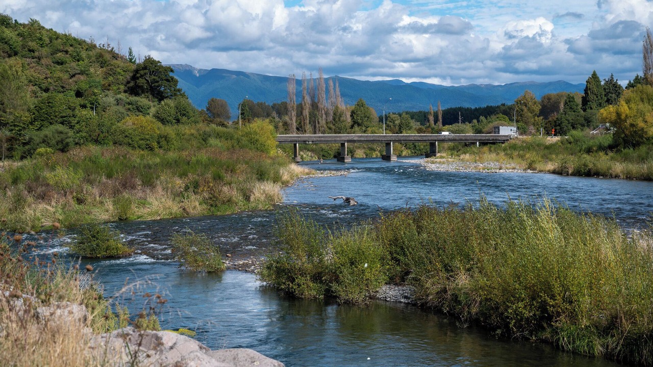 Photo of Others in Turangi
