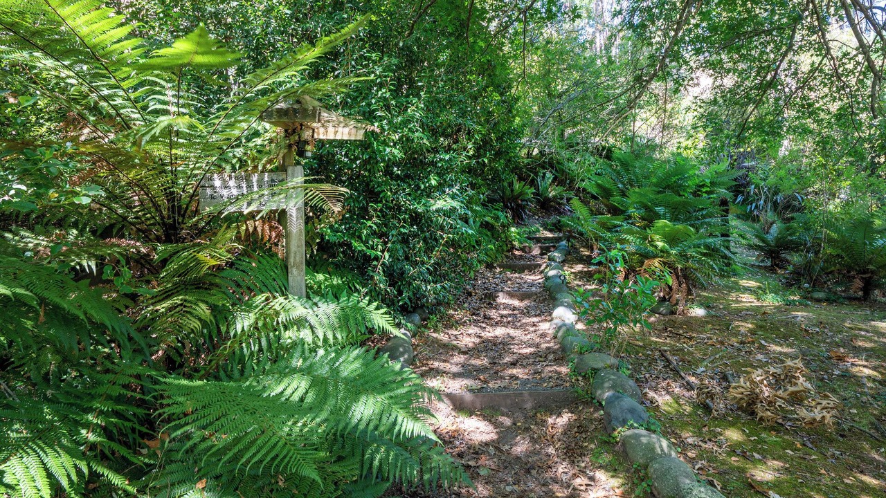 Photo of Outdoor in Turangi