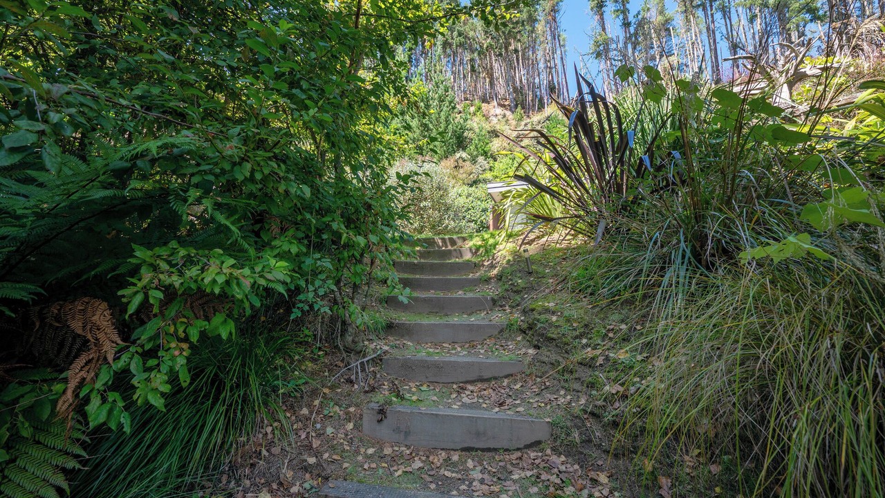 Photo of Outdoor in Turangi