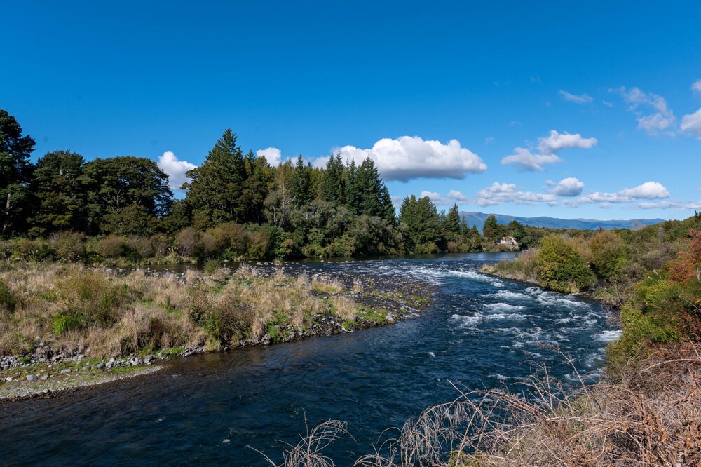 Photo of Others in Turangi