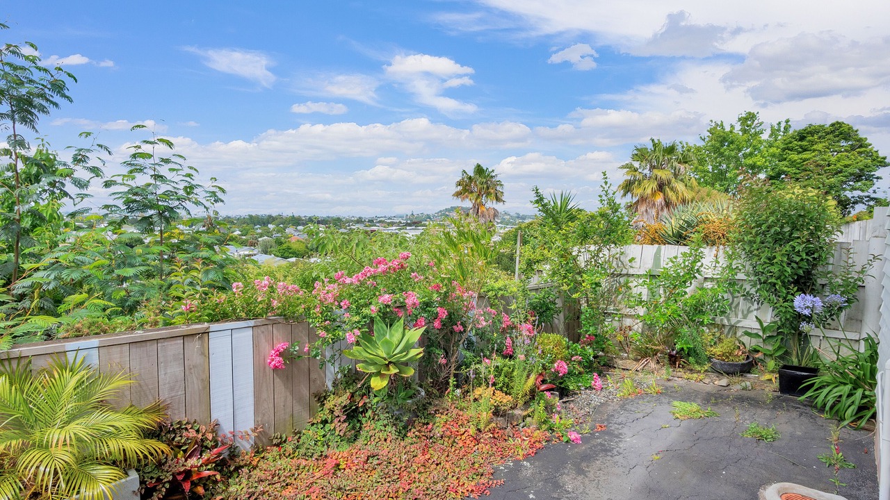 Photo of Outdoor in Mount Eden
