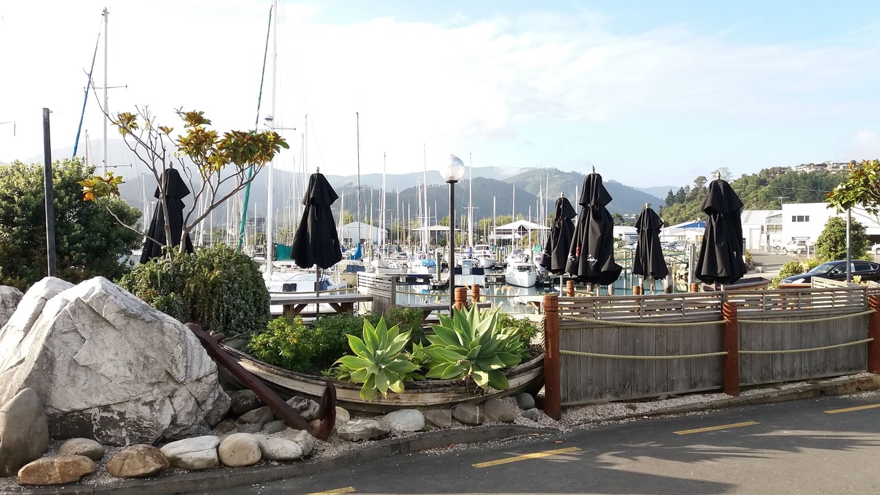 Photo of Others in Nelson