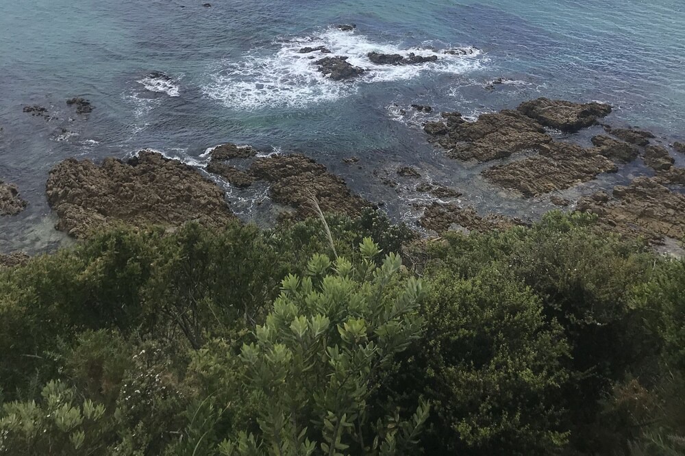 Photo of Others in Tairua