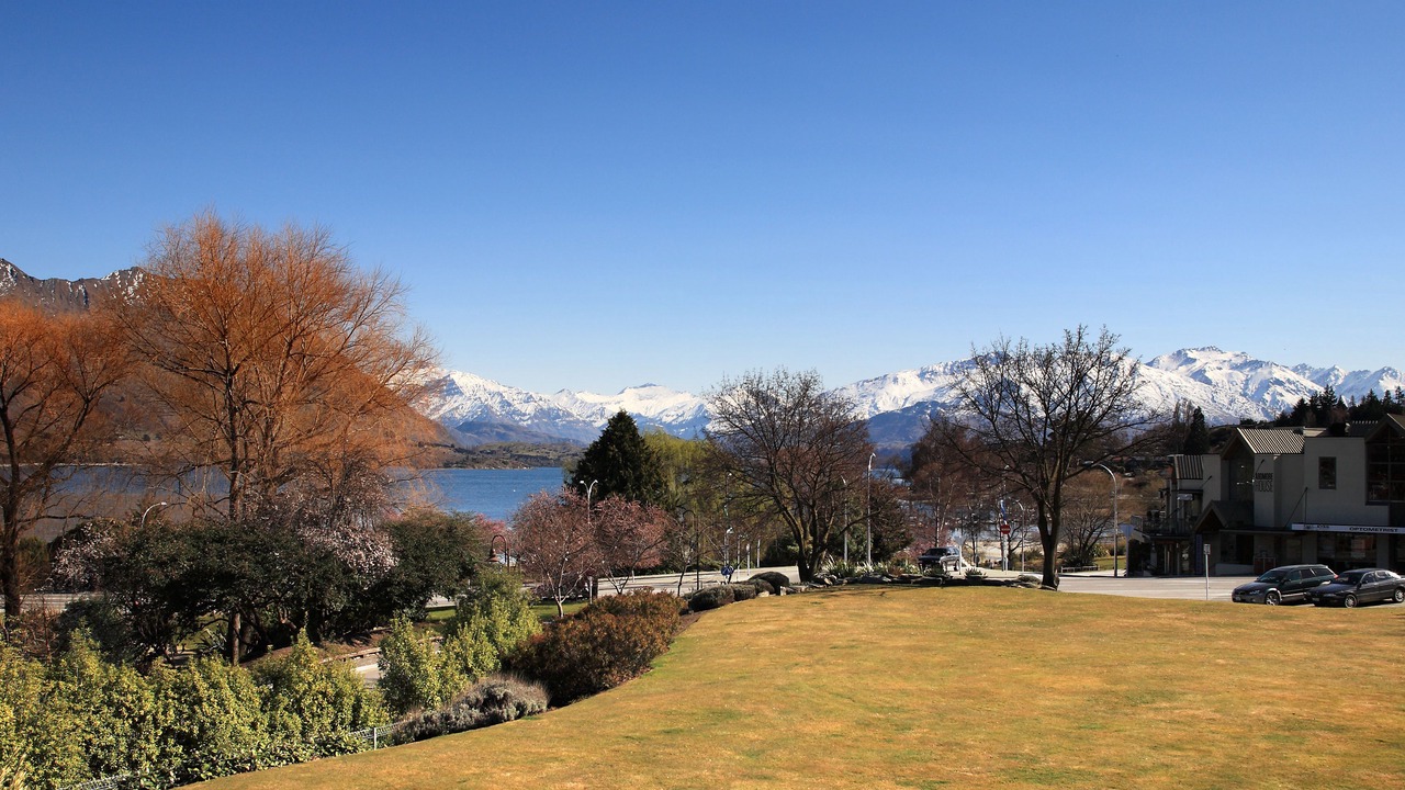 Photo of Others in Wanaka