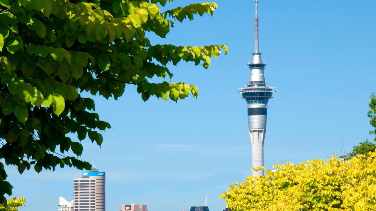 Photo of Others in Grey Lynn