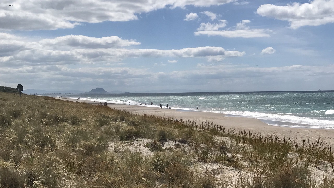 Photo of Others in Papamoa Beach