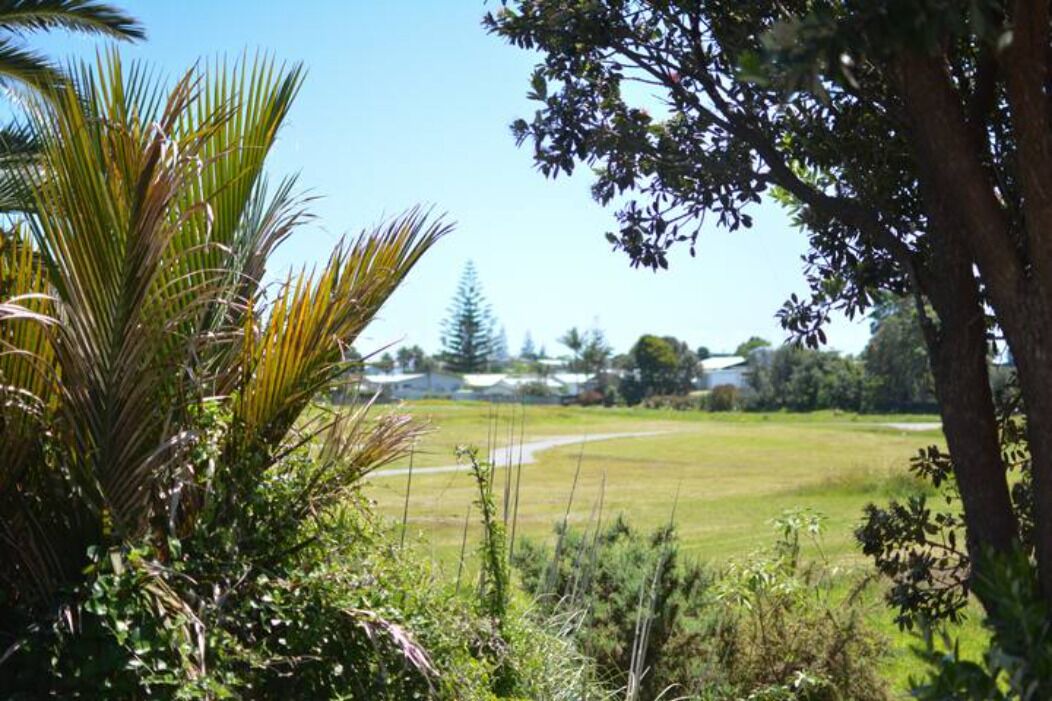 Photo of Others in Waihi Beach