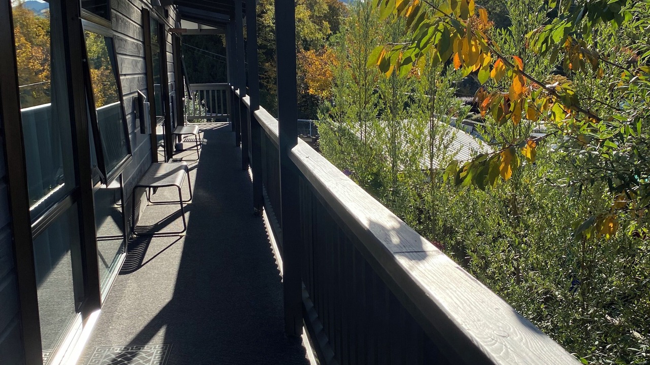 Photo of Outdoor in North Dunedin