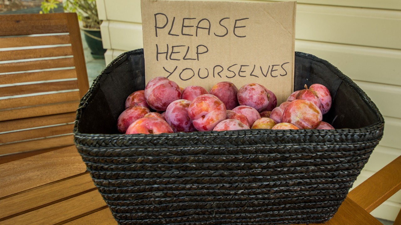 Photo of Others in Kerikeri