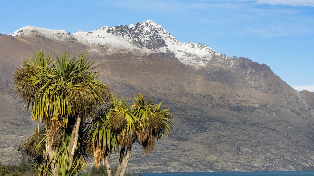 Photo of Others in Queenstown