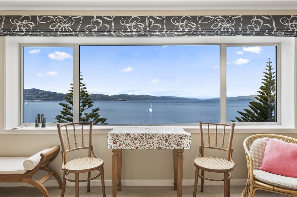 Photo of Others in Oriental Bay