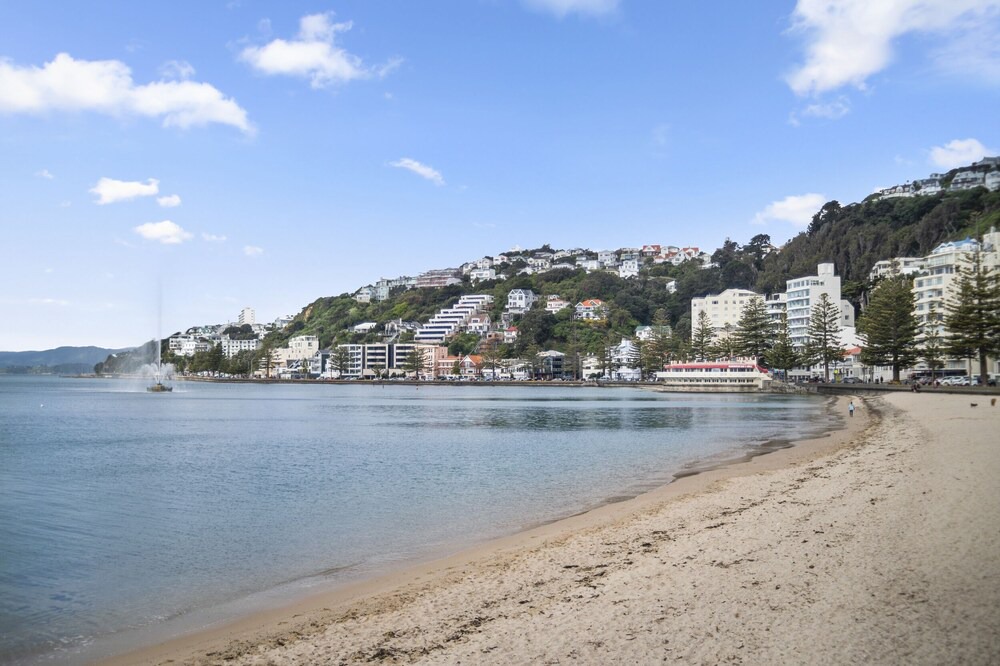 Photo of Others in Oriental Bay