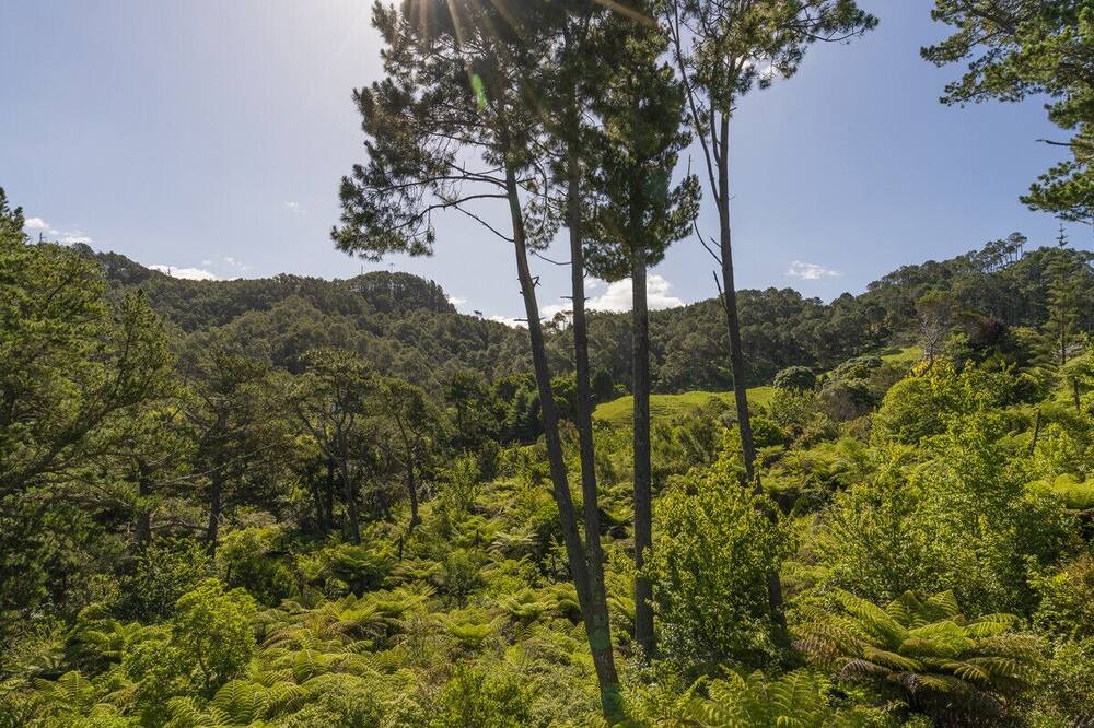 Photo of Outdoor in Hahei