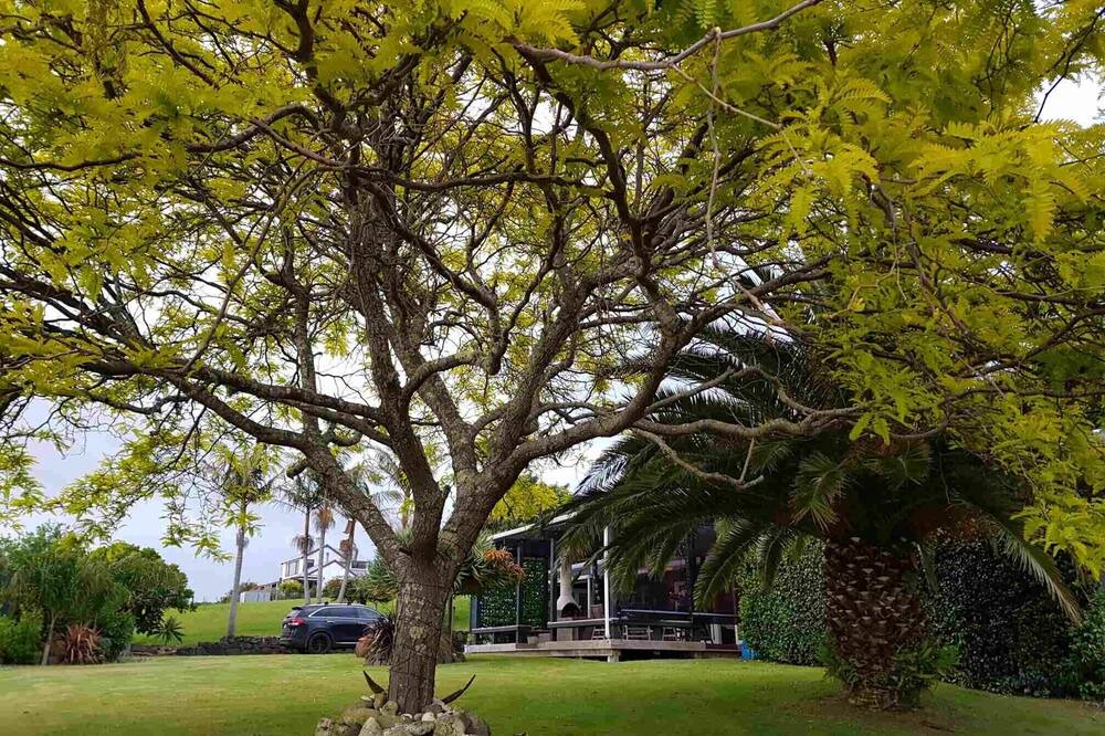 Photo of Outdoor in Hahei