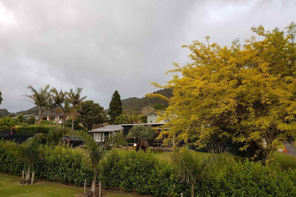 Photo of Outdoor in Hahei