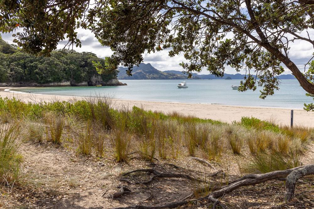 Photo of Outdoor in Cooks Beach