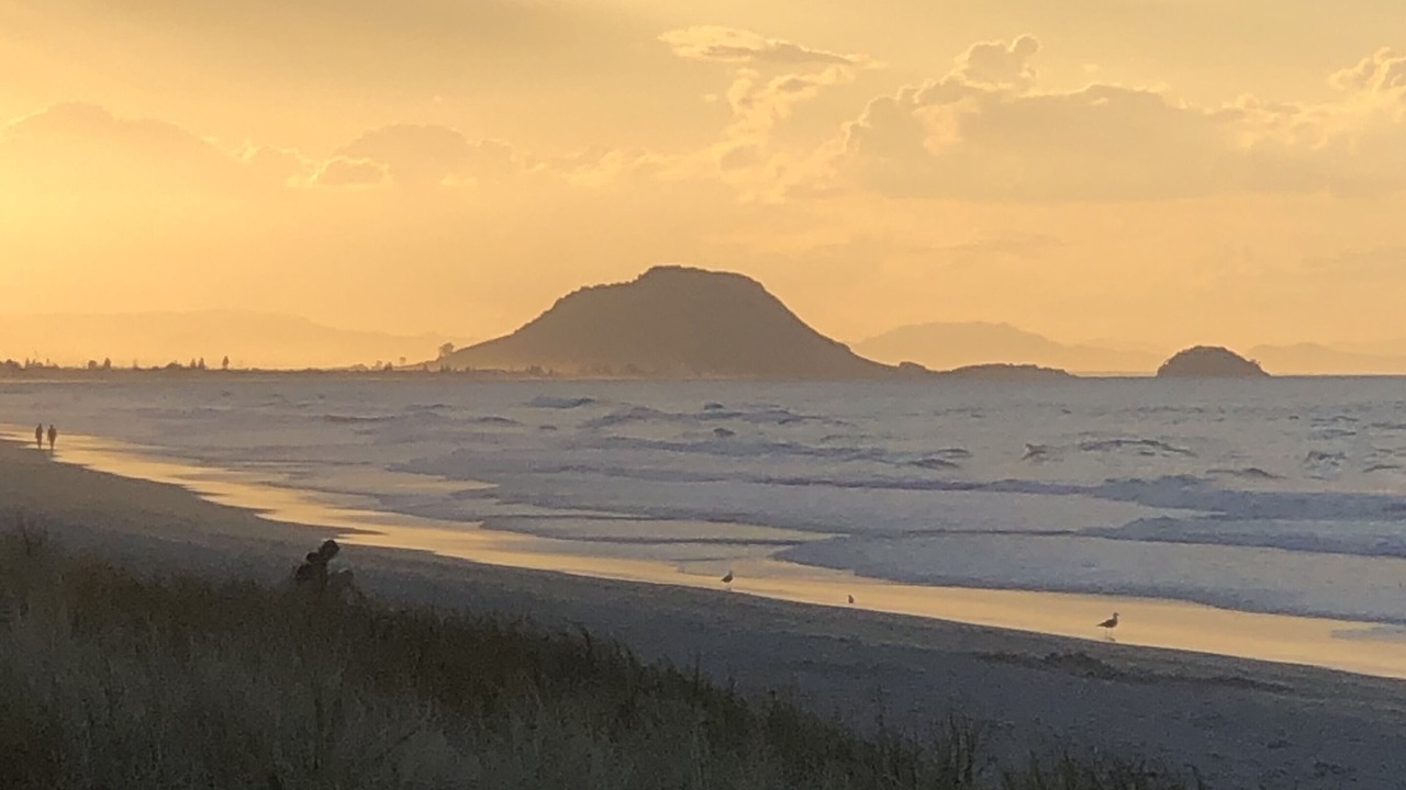 Photo of Others in Papamoa Beach