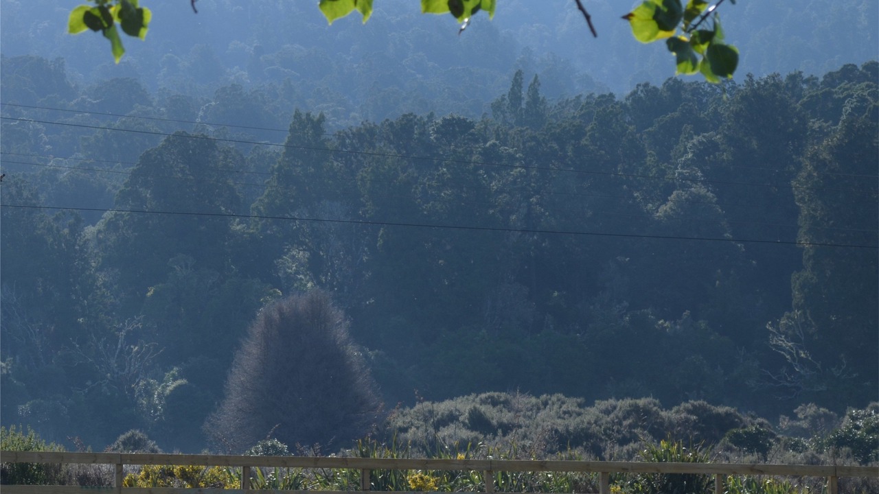 Photo of Outdoor in Tongariro National Park