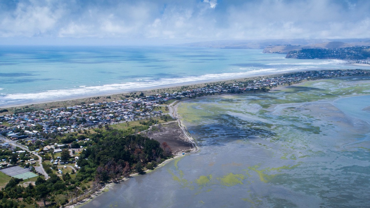 Photo of Outdoor in Christchurch