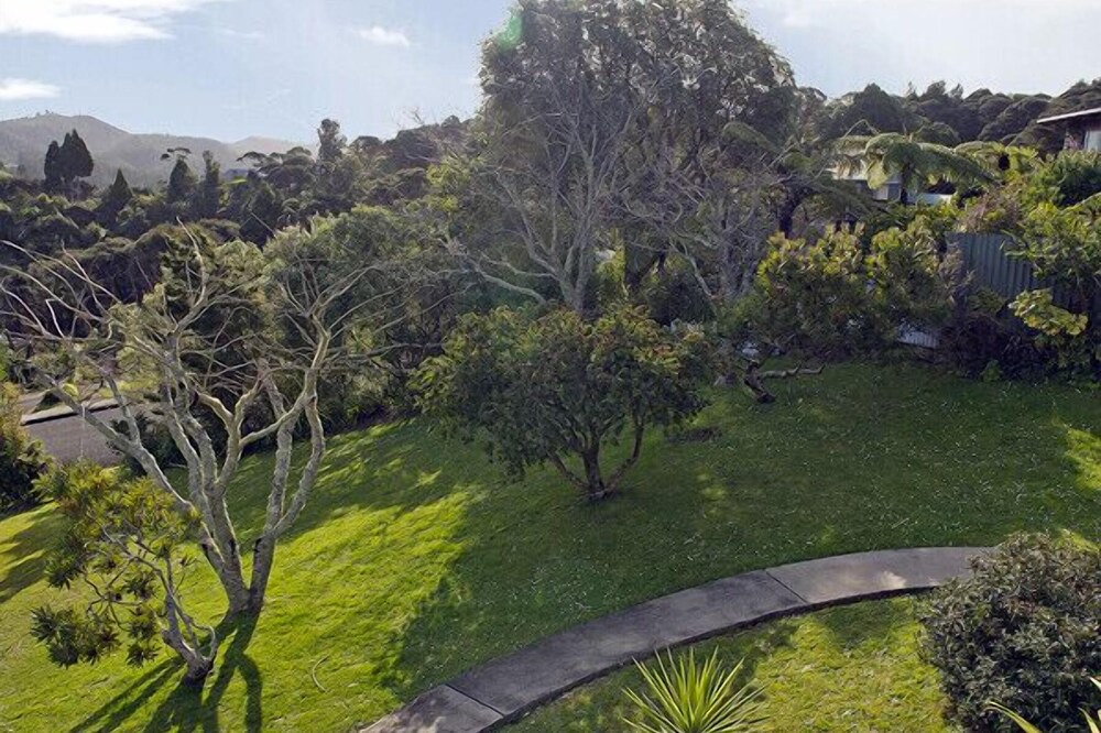 Photo of Outdoor in Whitianga