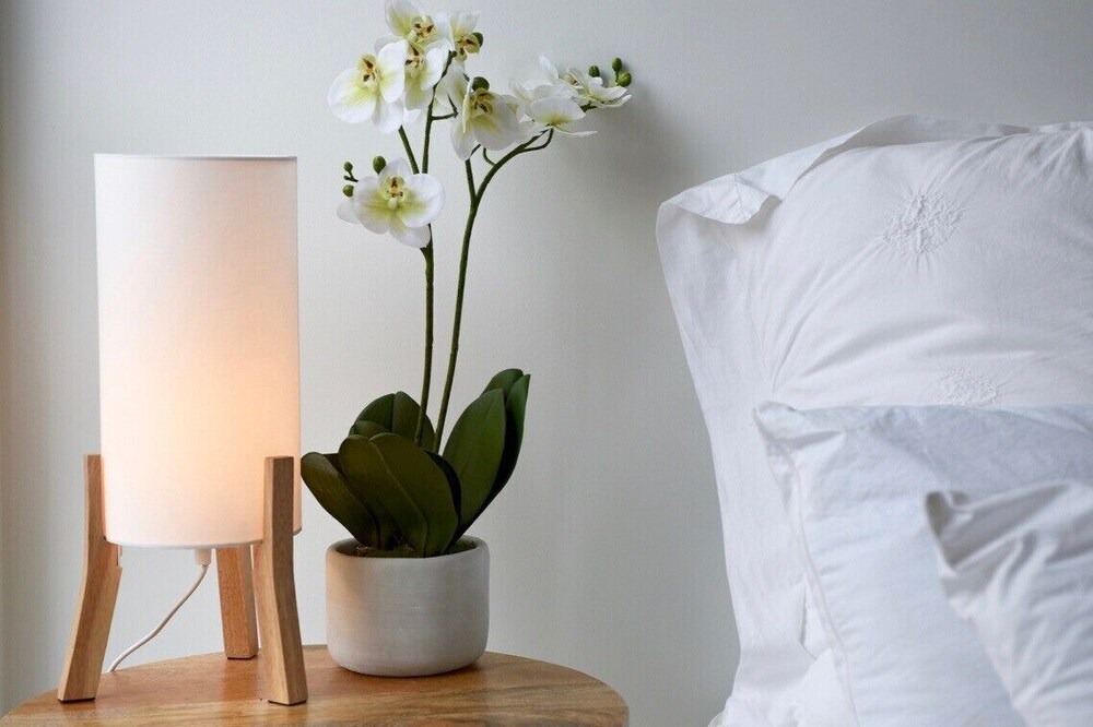 Photo of Bedroom in Akaroa