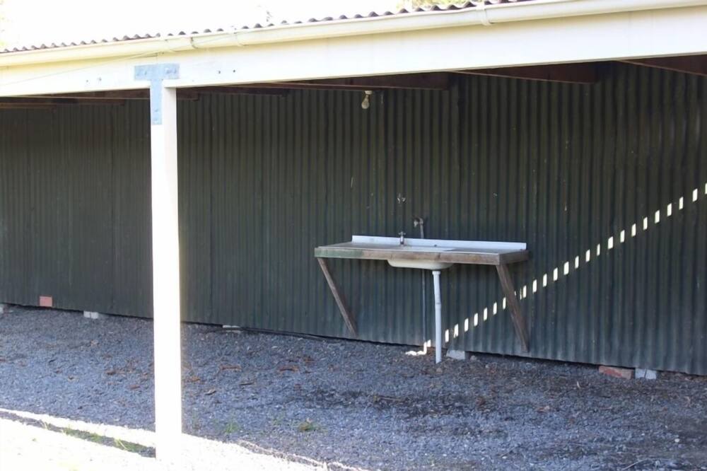 Photo of Outdoor in Turangi