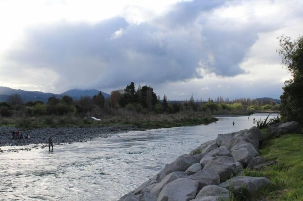 Photo of Others in Turangi