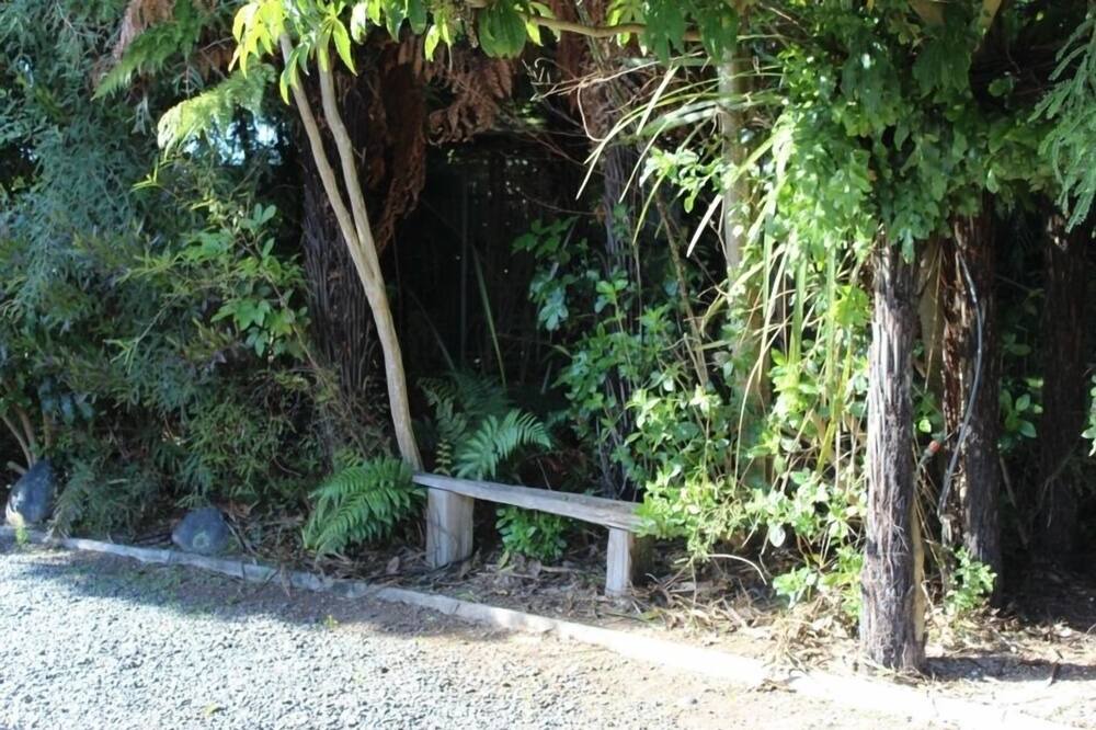 Photo of Others in Turangi