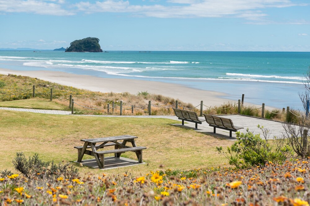 Photo of Others in Mount Maunganui