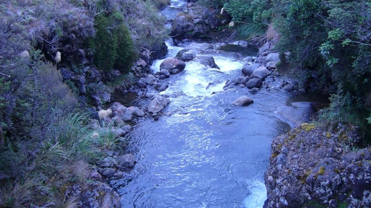 Photo of Others in National Park Village