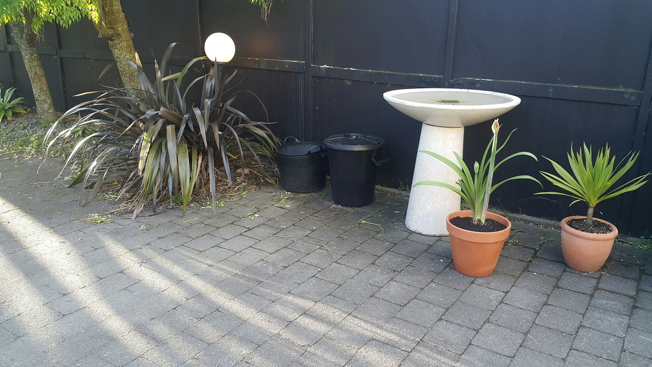 Photo of Outdoor in Rotorua