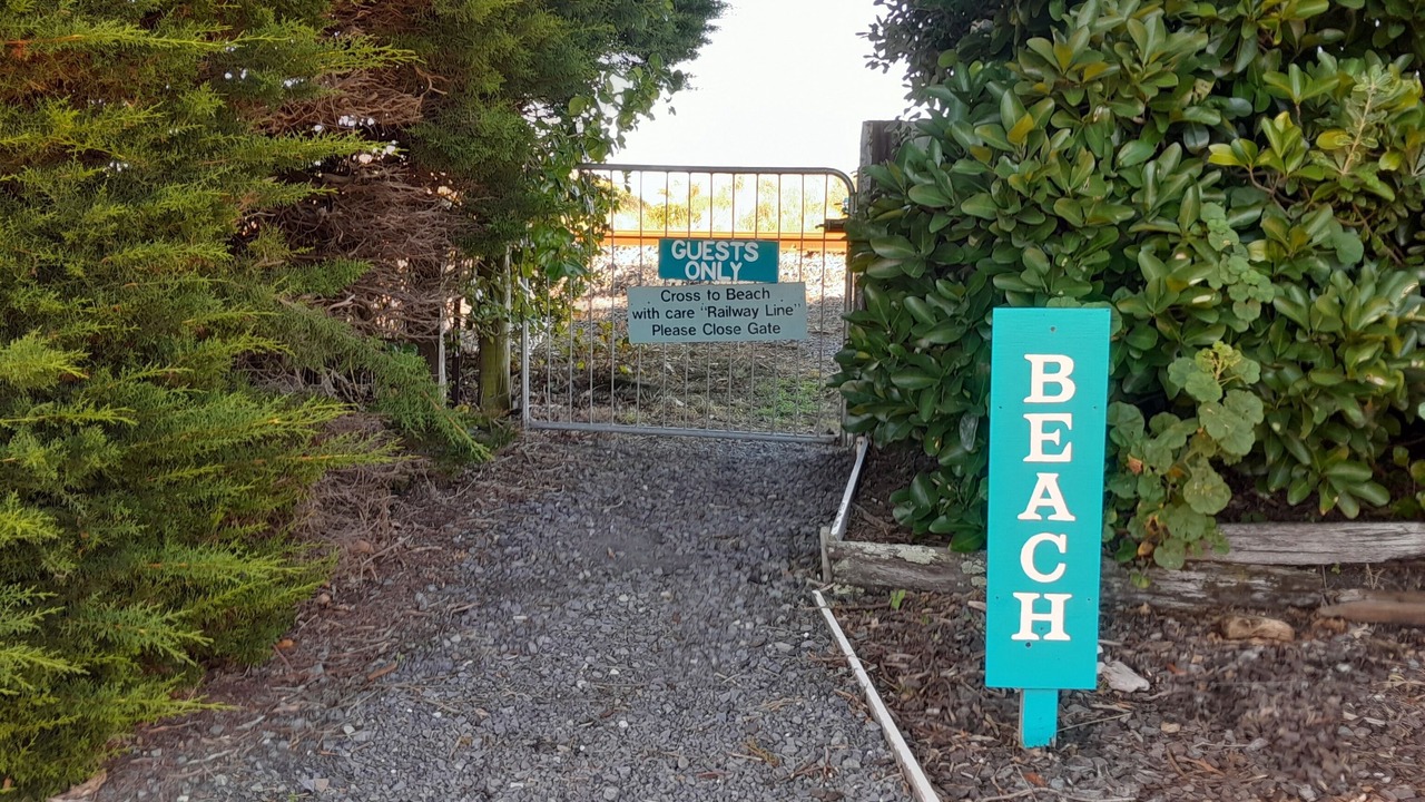 Photo of Others in Kaikoura