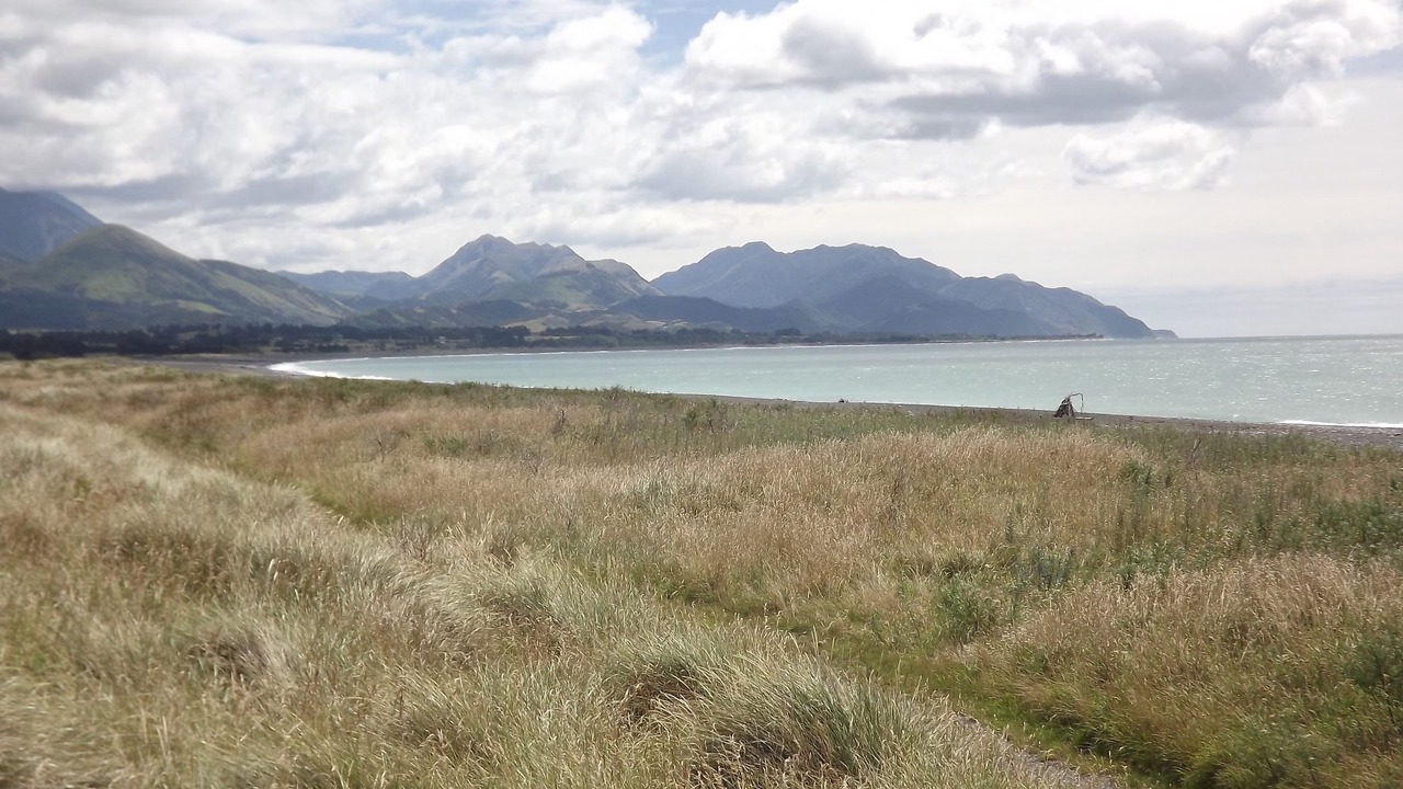 Photo of Others in Kaikoura