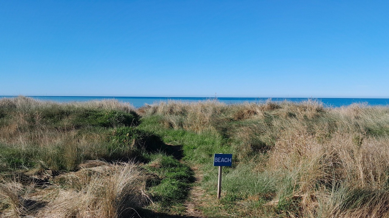 Photo of Others in Kaikoura