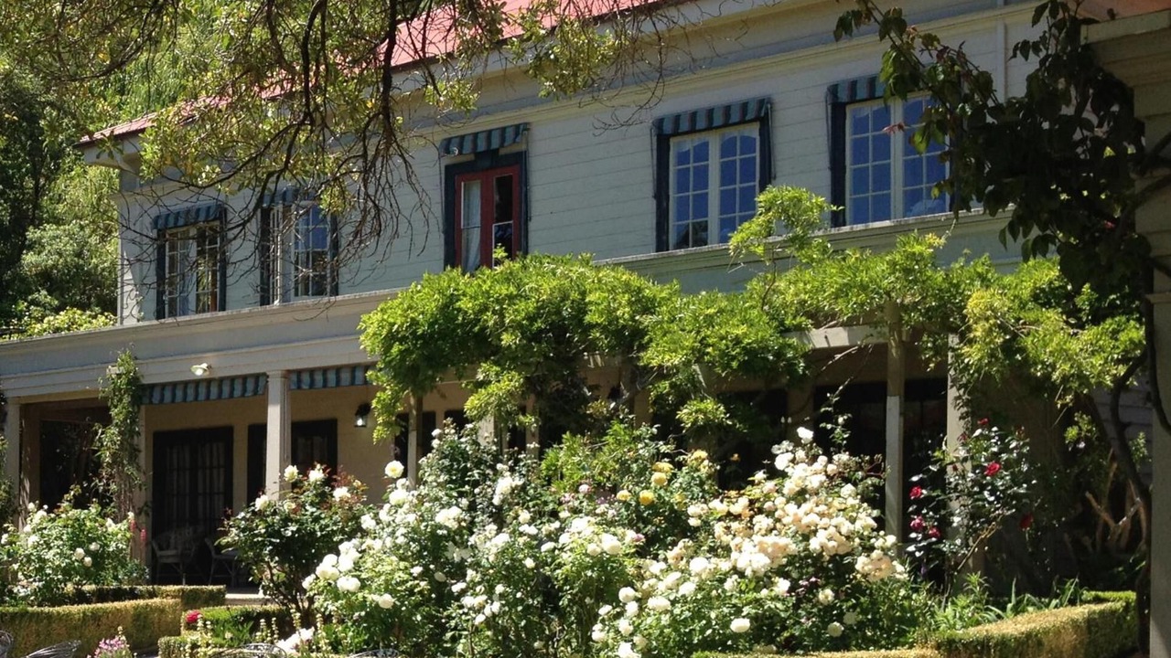 Photo of Outdoor in Akaroa
